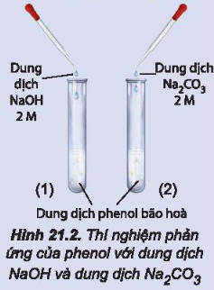 Thí nghiệm phenol tác dụng với dung dịch NaOH và với dung dịch Na2CO3...Cả hai ống nghiệm đều quan sát được dung dịch từ màu trắng đục chuyển sang trong suốt.  Hãy giải thích các hiện tượng xảy ra.