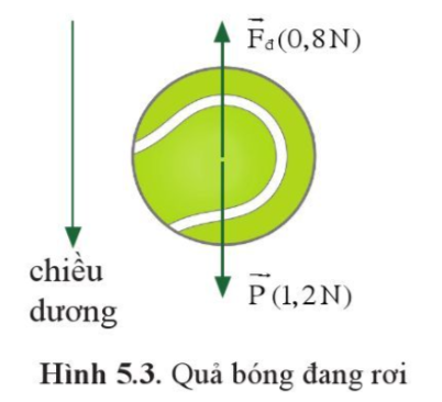 A diagram of a tennis ball

Description automatically generated