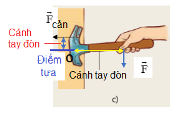 Xác định điểm tựa, cánh tay đòn trong các trường hợp ở Hình 19.2.   (ảnh 4)