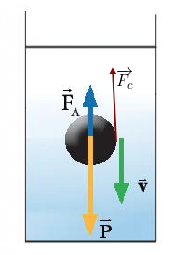 A diagram of a black ball with arrows and a black circle

Description automatically generated