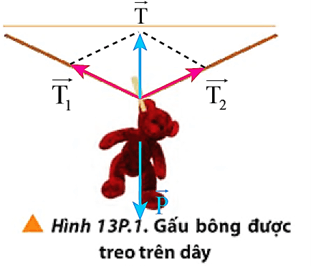 Một gấu bông được phơi trên dây treo nhẹ như Hình 13P.1