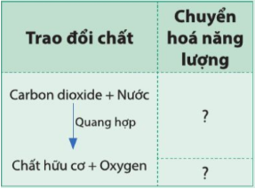 Giải bài 18 Quang hợp ở thực vật