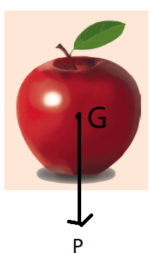 A close-up of a red apple

Description automatically generated