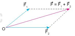 A diagram of a triangle with arrows and letters

Description automatically generated with medium confidence