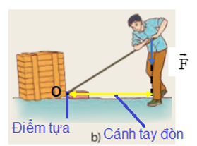 Xác định điểm tựa, cánh tay đòn trong các trường hợp ở Hình 19.2.   (ảnh 3)