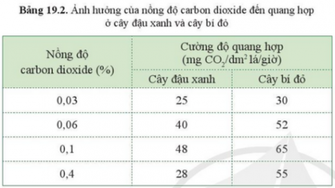 Giải bài 19 Các yếu tố ảnh hưởng đến quang hợp