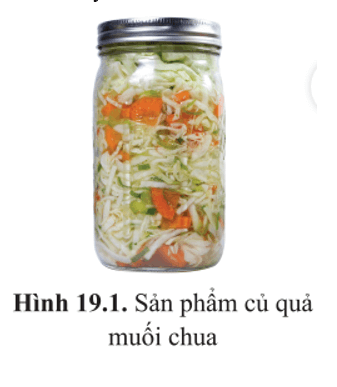 Rau, củ muối chua (hình 19.1) là sản phẩm của quá trình chuyển hoá nào?