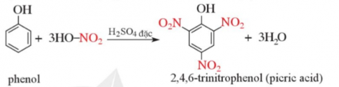 Hãy dẫn ra các phương trình hoá học để chứng minh phản ứng thế nguyên tử H ở vòng benzene trong phenol dễ hơn benzene.