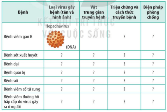 Sinh 10 Bài 26: Thực hành điều tra một số bệnh do virus và tuyên truyền phòng chống bệnh | Giải Sinh học 10 (ảnh 1)