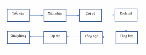 Giải bài 25 Một số bệnh do virus và các thành tựu nghiên cứu ứng dụng virus