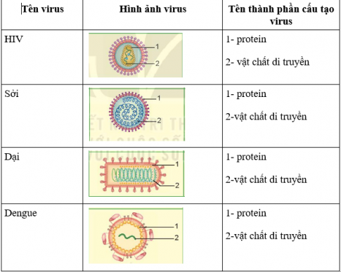 Ảnh có chứa văn bản, ảnh chụp màn hình, biểu đồ, Phông chữ

Mô tả được tạo tự động