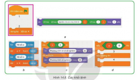 Giải Tin học 8 Kết nối bài 14 Cấu trúc điều khiển