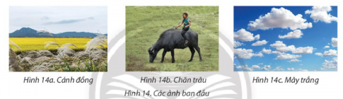 Em hãy thực hiện chỉnh sửa, ghép ảnh để từ các bức ảnh ở Hình 14 có được bức ảnh tương tự như ở Hình 15. Các tệp ảnh do giáo viên cung cấp.