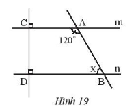 Giải bài 3 Hai đường thẳng song song