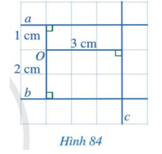 Quan sát Hình 84 và cho biết