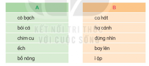 Có những con vật nào đến thăm bờ tre. Câu thơ nào thể hiển niềm vui của bờ tre khi được đón khách. Tìm từ ngữ trong bài cho biết cuộc gặp gỡ giữa các con vật diễn ra rất vui