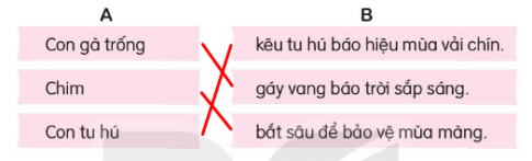 Kết hợp từ ngữ ở cột  A với từ ngữ ở cột B để tạo thành câu nêu hoạt động