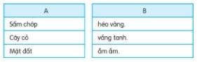 Con dúi nói với hai vợ chồng điều gì? Kể lại những sự việc kỳ lạ xảy ra sau khi hai vợ chồng thoát khỏi nạn lũ lụt? Theo em, câu chuyện nói về điều gì?