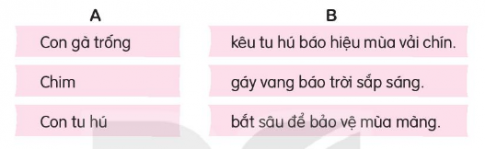 Kết hợp từ ngữ ở cột A với từ ngữ ở cột B để tạo thành câu nêu hoạt động