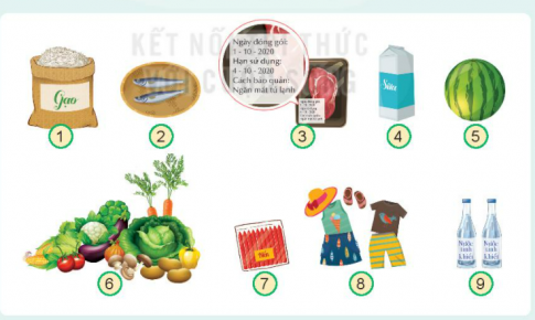 [Kết nối tri thức và cuộc sống] Giải tự nhiên xã hội 2 bài 15: Ôn tập chủ đề cộng đồng địa phương