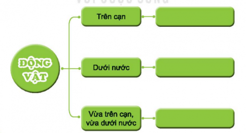 [Kết nối tri thức và cuộc sống] Giải tự nhiên xã hội 2 bài 17: Động vật sống ở đâu?