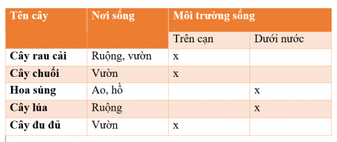 [Kết nối tri thức và cuộc sống] Giải tự nhiên xã hội 2 bài 16: Thực vật sống ở đâu?