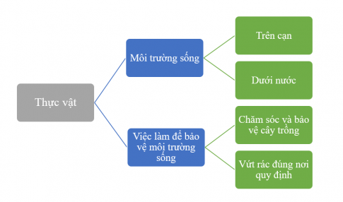 [Kết nối tri thức và cuộc sống] Giải tự nhiên xã hội 2 bài 20: Ôn tập chủ đề thực vật và động vật