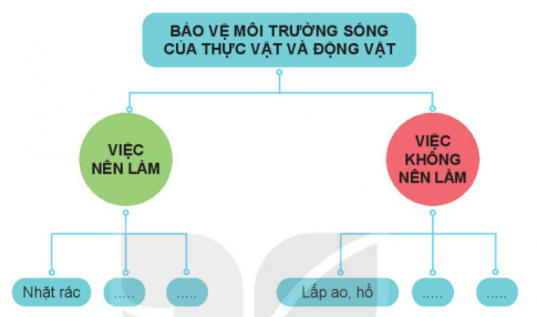 [Kết nối tri thức và cuộc sống] Giải tự nhiên xã hội 2 bài 19: Thực vật và động vật quanh em