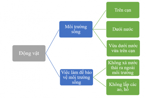 [Kết nối tri thức và cuộc sống] Giải tự nhiên xã hội 2 bài 20: Ôn tập chủ đề thực vật và động vật