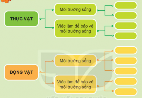 [Kết nối tri thức và cuộc sống] Giải tự nhiên xã hội 2 bài 20: Ôn tập chủ đề thực vật và động vật