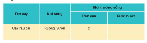 [Kết nối tri thức và cuộc sống] Giải tự nhiên xã hội 2 bài 16: Thực vật sống ở đâu?