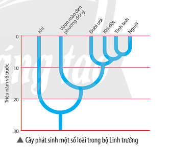 Ảnh có chứa văn bản, Phông chữ, biểu đồ, ảnh chụp màn hình

Mô tả được tạo tự động