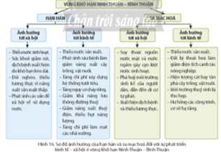 Địa Lí 9 Chân trời sáng tạo Bài 16: Thực hành: Phân tích ảnh hưởng của hạn hán và sa mạc hoá đối với phát triển kinh tế - xã hội ở vùng khô hạn Ninh Thuận - Bình Thuận