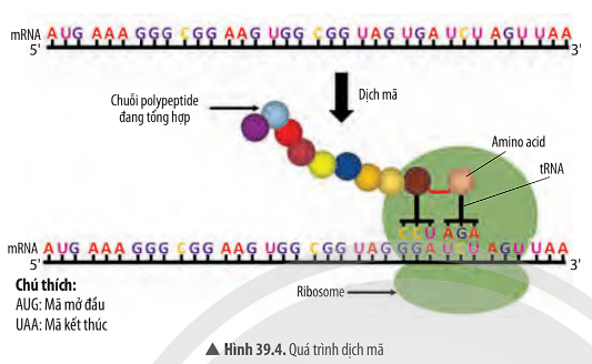 Ảnh có chứa văn bản, ảnh chụp màn hình, biểu đồ

Mô tả được tạo tự động