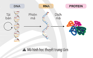 Ảnh có chứa văn bản, ảnh chụp màn hình, Phông chữ, biểu đồ

Mô tả được tạo tự động