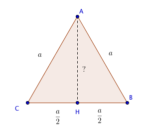 trigonométrie : exercice de mathématiques de seconde - 675773