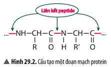 Ảnh có chứa văn bản, Phông chữ, biểu đồ, hàng

Mô tả được tạo tự động