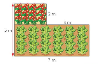 A diagram of a plant growing in a garden

Description automatically generated