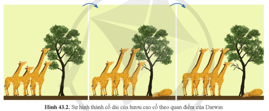 A group of giraffes standing next to a tree

Description automatically generated