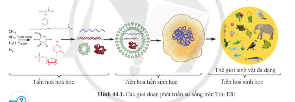 A diagram of a cell

Description automatically generated