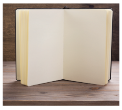 A book on a table

Description automatically generated