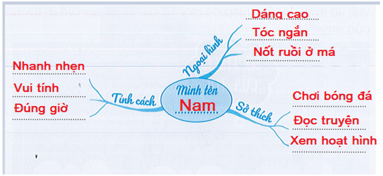 Viết và trang trí sơ đồ tư duy để giới thiệu với các bạn những nét riêng của em.  (ảnh 2)