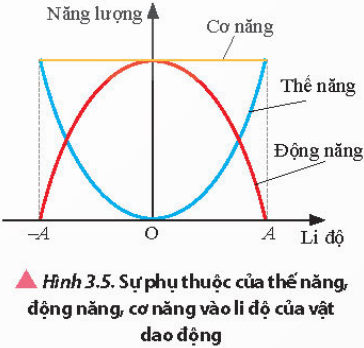 Quan sát Hình 3.5 và mô tả sự thay đổi của động năng và thế năng khi vật dao động di chuyển từ biên âm đến biên dương.