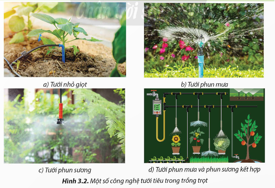 A collage of images of plants sprinklers

Description automatically generated