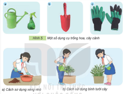 BÀI 3. VẬT LIỆU VÀ DỤNG CỤ TRỒNG HOA, CÂY CẢNH TRONG CHẬU