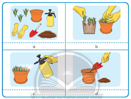 BÀI 4. TRỒNG CÂY CẢNH TRONG CHẬU