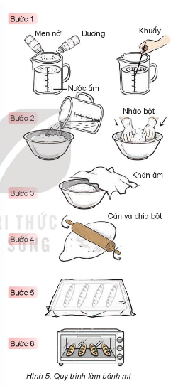 BÀI 20: NẤM ĂN VÀ NẤM CHẾ BIẾN THỰC PHẨM