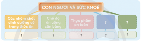 BÀI 29. ÔN TẬP CHỦ ĐỀ CON NGƯỜI VÀ SỨC KHỎE