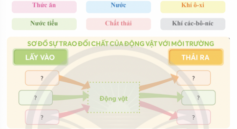 BÀI 16. NHU CẦU SỐNG CỦA ĐỘNG VẬT