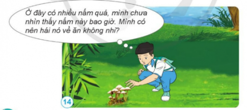 BÀI 15. NẤM VÀ MỘT SỐ NẤM ĐƯỢC DÙNG LÀM THỨC ĂN 